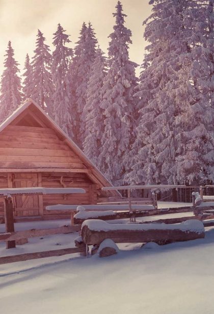 Winter House